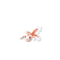 Pokemon GO Goldeen 