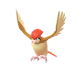 Pokemon GO Pidgeotto 