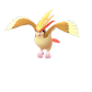 Pokemon GO Pidgeot 