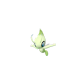 Pokemon GO Celebi 