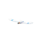 Pokemon GO Wingull