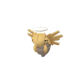 Pokemon GO Shedinja