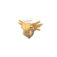 Pokemon GO Shedinja