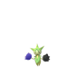 Pokemon GO Roselia