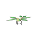 Pokemon GO Vibrava
