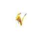 Pokemon GO Gorebyss