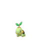 Pokemon GO Turtwig 