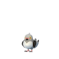 Pokemon GO Pidove