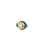 Pokemon GO Tympole