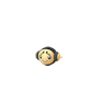 Pokemon GO Tympole