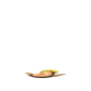 Pokemon GO Stunfisk