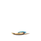 Pokemon GO Stunfisk