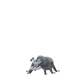 Pokemon GO Durant