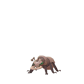 Pokemon GO Durant