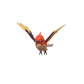 Pokemon GO Fletchinder 