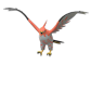 Pokemon GO Talonflame