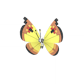 Pokemon GO Vivillon Continental