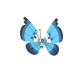Pokemon GO Vivillon Marine