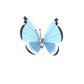 Pokemon GO Vivillon Tundra