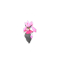 Pokemon GO Diancie 