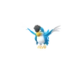Pokemon GO Squawkabilly Blue
